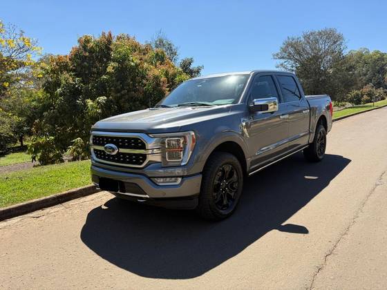 FORD F-150 5.0 V8 GASOLINA CD PLATINUM FX4 AUTOMÁTICO FORD F-150 5.0 V8 GASOLINA CD PLATINUM FX4 AUTOMÁTICO